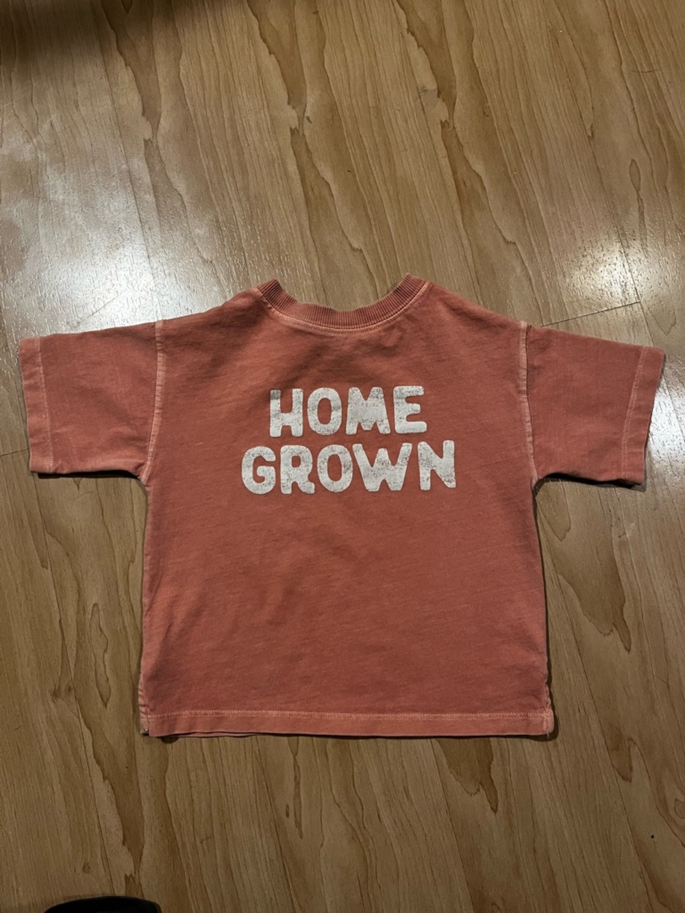 Organic cotton 9 month t shirt Home Grown Graphic Tee - Rust Orange western boho